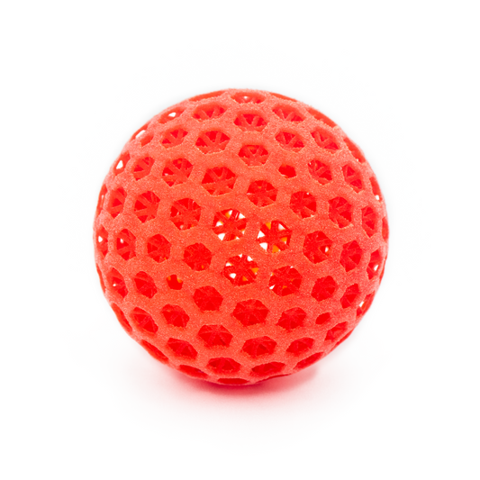 DigiPro 3.1 Fast-Play Pickleball