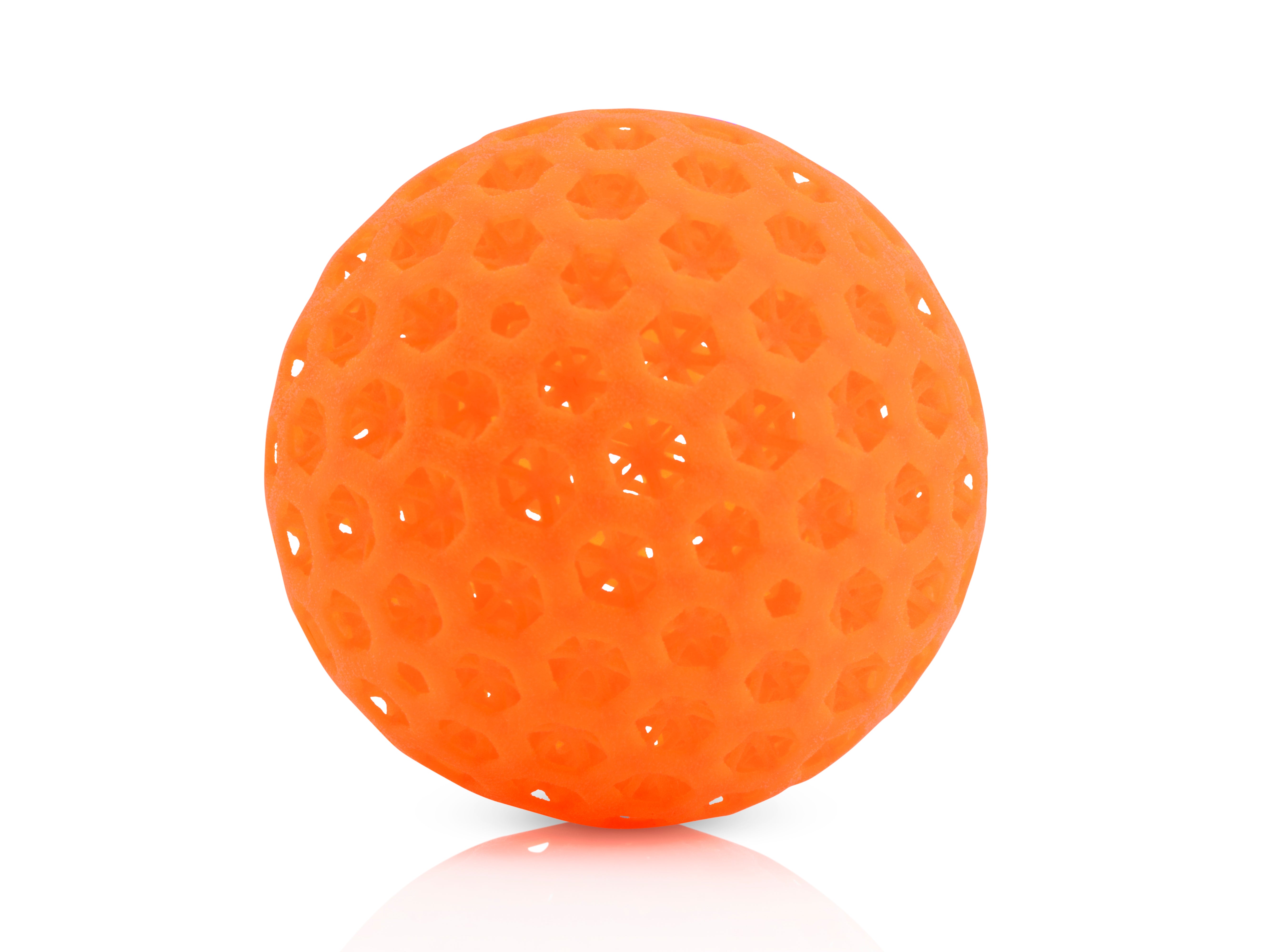 DigiPro 3.1 Fast-Play Pickleball