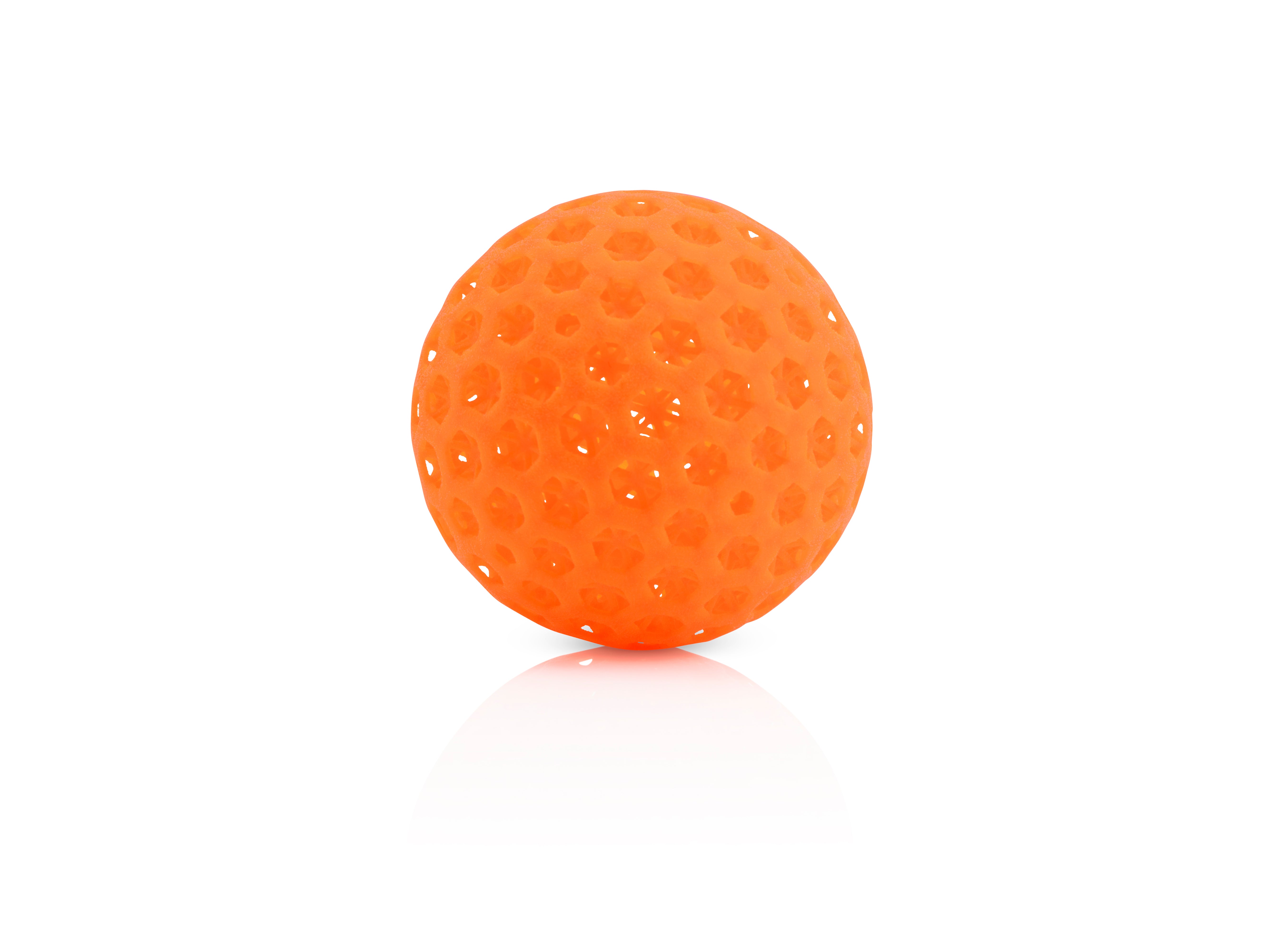 DigiPro 3.1 Fast-Play Pickleball