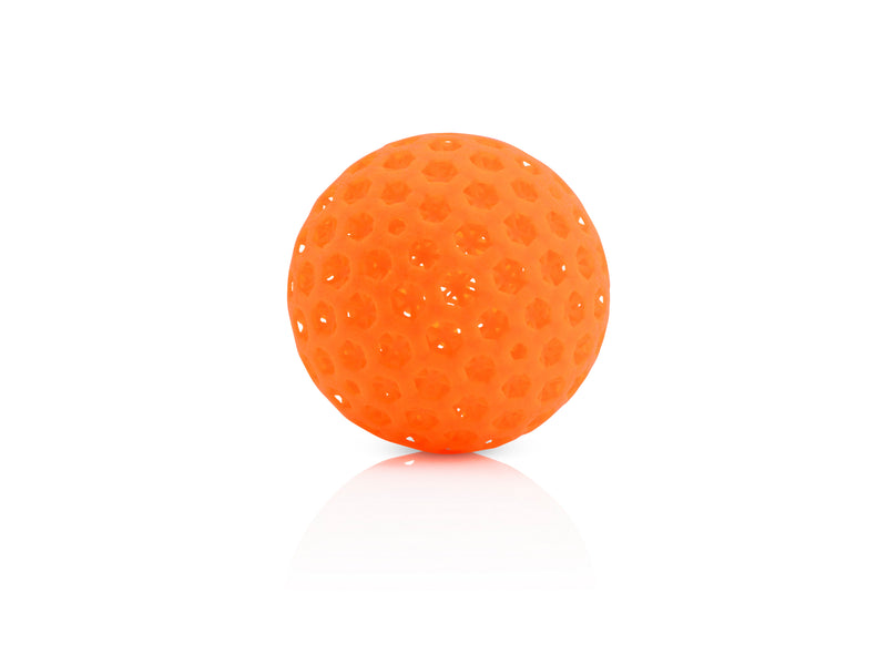 DigiPro 3.1 Fast-Play Pickleball