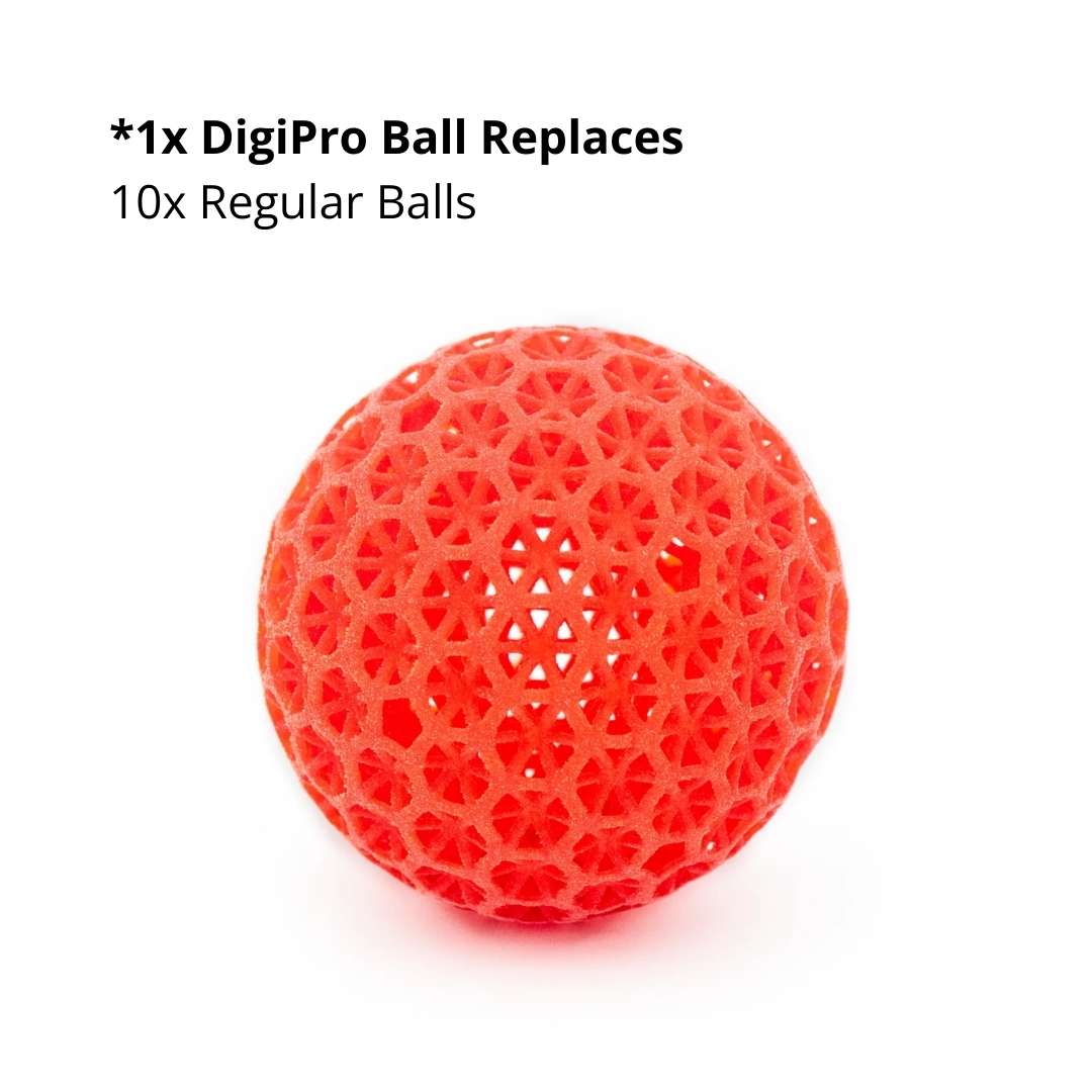 DigiPro 3.1 Fast-Play Pickleball